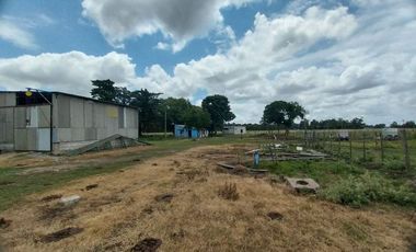 Alquiler de Campo de 11 hectáreas en El Casal