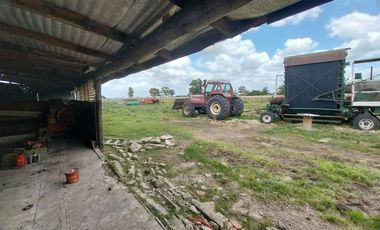 Alquiler de Campo de 11 hectáreas en El Casal