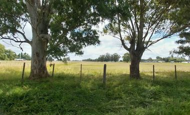 Alquiler de Campo de 11 hectáreas en El Casal