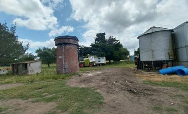 Alquiler de Campo de 11 hectáreas en El Casal