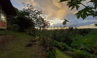 Se vende Finca en produccion de palmito Pedro Vicente Maldonado