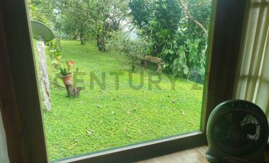 Se vende Finca en produccion de palmito Pedro Vicente Maldonado
