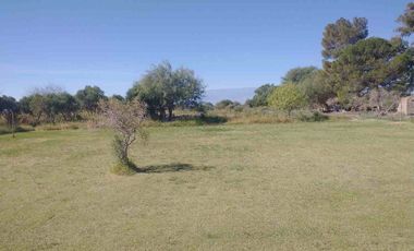 Finca de 78 hectareas con 3 cabañas. Albardon