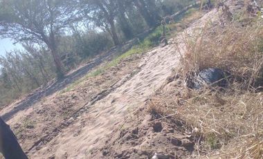 Finca de 78 hectareas con 3 cabañas. Albardon