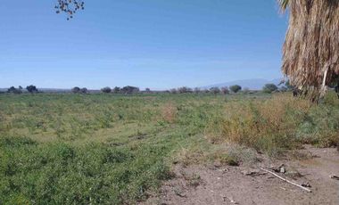 Finca de 78 hectareas con 3 cabañas. Albardon