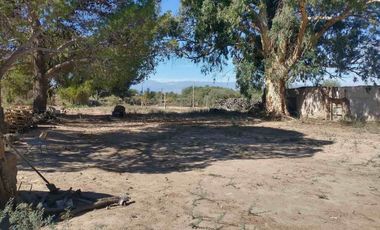 Finca de 78 hectareas con 3 cabañas. Albardon