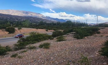 Lote en HUMAHUACA/