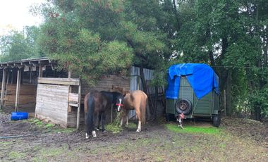 PARCELA EN CAMINO A COIHUECO  KM 10