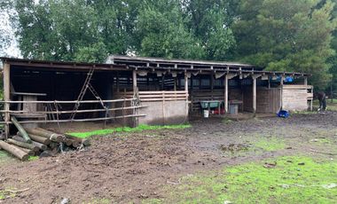 PARCELA EN CAMINO A COIHUECO  KM 10