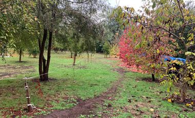 PARCELA EN CAMINO A COIHUECO  KM 10