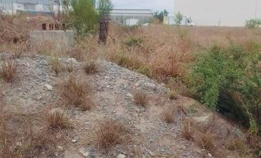 Terreno en renta zona industrial Salinas Victoria