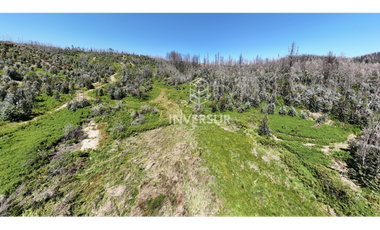 12 HEC DE TERRENO AGRICOLA CON PLANTACIÓN FORESTAL