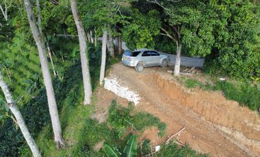 Lote en Ebejico Antioquia - vereda la clara