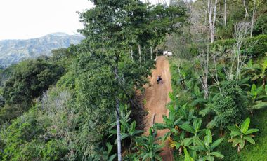 Lote en Ebejico Antioquia - vereda la clara