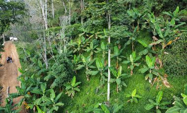 Lote en Ebejico Antioquia - vereda la clara