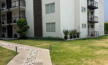 Departamento en Renta Excelente ubicación