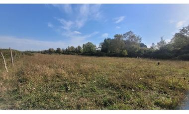 Terreno Agrícola 8.300m² en Linares, Maule