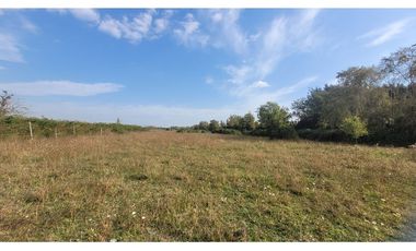 Terreno Agrícola 8.300m² en Linares, Maule