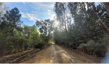 Terreno Agrícola 8.300m² en Linares, Maule