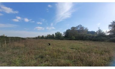 Terreno Agrícola 8.300m² en Linares, Maule
