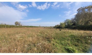 Terreno Agrícola 8.300m² en Linares, Maule