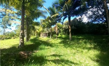 Lote para Arriendo Via Don Diego Llanorande Perfecto para Comercio