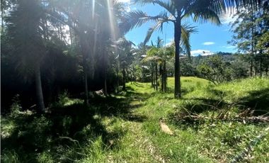 Lote para Arriendo Via Don Diego Llanorande Perfecto para Comercio