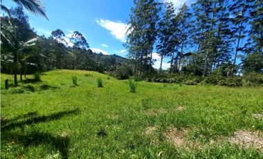 Lote para Arriendo Via Don Diego Llanorande Perfecto para Comercio