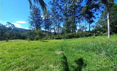 Lote para Arriendo Via Don Diego Llanorande Perfecto para Comercio