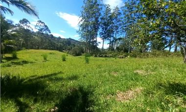 Lote para Arriendo Via Don Diego Llanorande Perfecto para Comercio