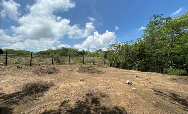 Lote en venta - Puerto Caiman-