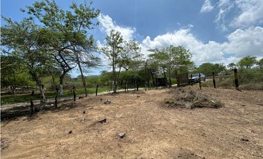 Lote en venta - Puerto Caiman-