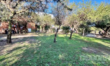 Casa en alquiler - Merlo San Luis
