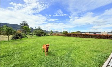 vendo casa finca campestre la Ceja, sector el tambo 1.796 m2