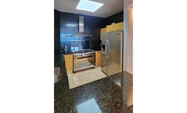 Alquiler de Apartamento AMOBLADO en Avenida Balboa - Sky Residence