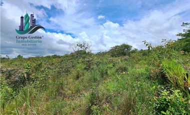 VENDO.FINCA DE 3HECTAREAS+6067Mts POTRERILLOS