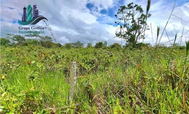 VENDO.FINCA DE 3HECTAREAS+6067Mts POTRERILLOS