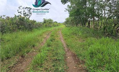 VENDO.FINCA DE 3HECTAREAS+6067Mts POTRERILLOS