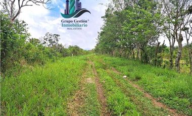 VENDO.FINCA DE 3HECTAREAS+6067Mts POTRERILLOS