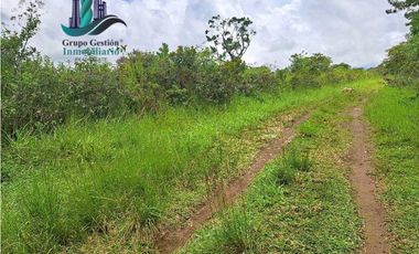 VENDO.FINCA DE 3HECTAREAS+6067Mts POTRERILLOS