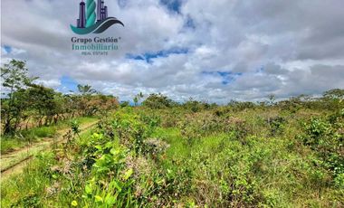 VENDO.FINCA DE 3HECTAREAS+6067Mts POTRERILLOS