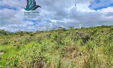 VENDO.FINCA DE 3HECTAREAS+6067Mts POTRERILLOS