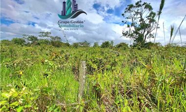 VENDO.FINCA DE 3HECTAREAS+6067Mts POTRERILLOS