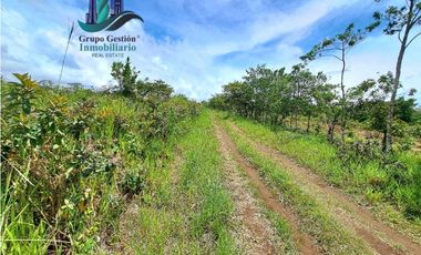 VENDO.FINCA DE 3HECTAREAS+6067Mts POTRERILLOS