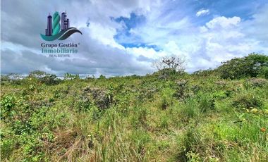 VENDO.FINCA DE 3HECTAREAS+6067Mts POTRERILLOS