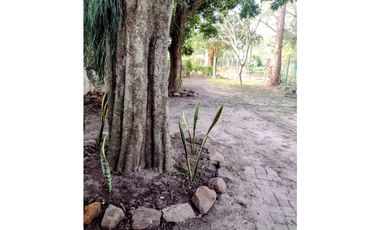 El Ranchito de Empedrado, casa de 2 dormitorios y parquecito