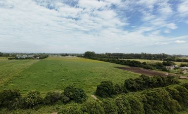 VENTA LOTE DE 3,8 HECTAREAS EN MARADONA Y CHACO