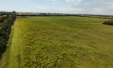 VENTA LOTE DE 3,8 HECTAREAS EN MARADONA Y CHACO