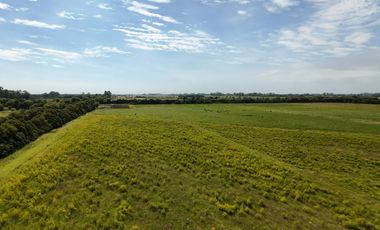 VENTA LOTE DE 3,8 HECTAREAS EN MARADONA Y CHACO