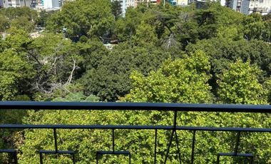 Departamento 2 ambientes con balcon frances,  frente a plaza San Martin.